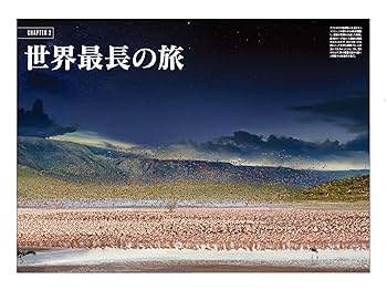 鳥全史 美しくてすごい、空の覇者たち (ナショナル ジオ